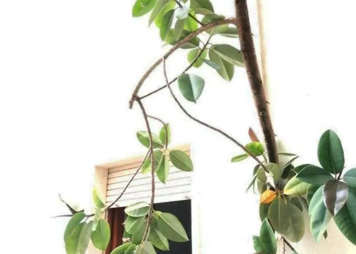 Appartamento Casa Puce Ketty